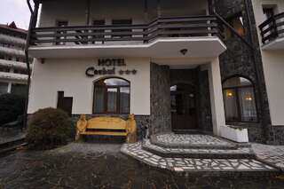 Отель Hotel Cerbul Statjunea Borsa-7