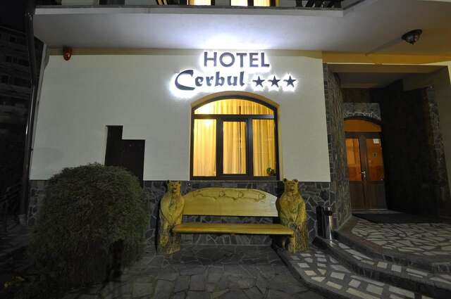 Отель Hotel Cerbul Statjunea Borsa-9